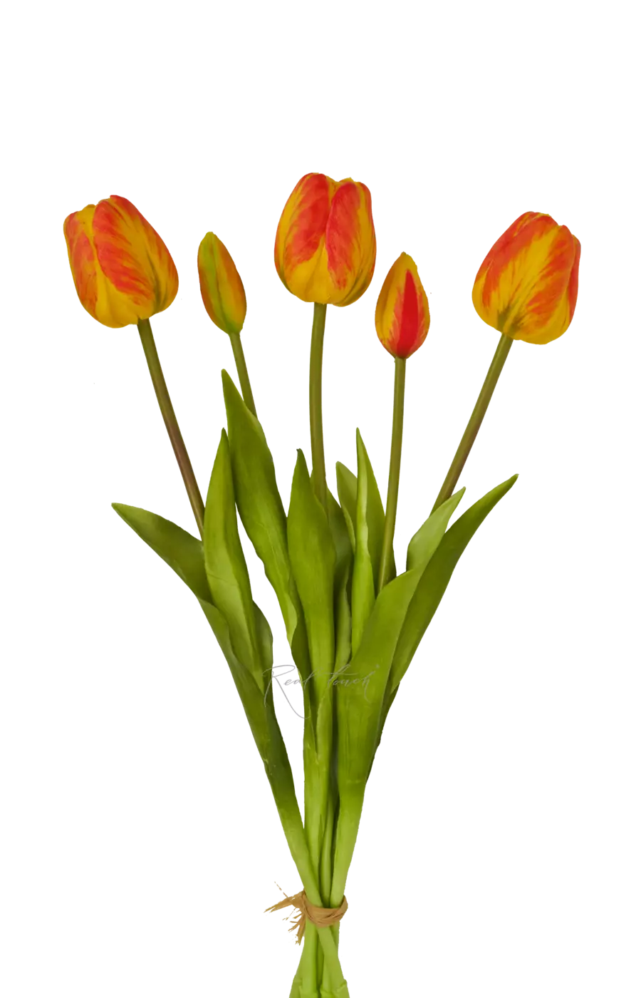 Букет поздних тюльпанов 3+2 - Оранжевый