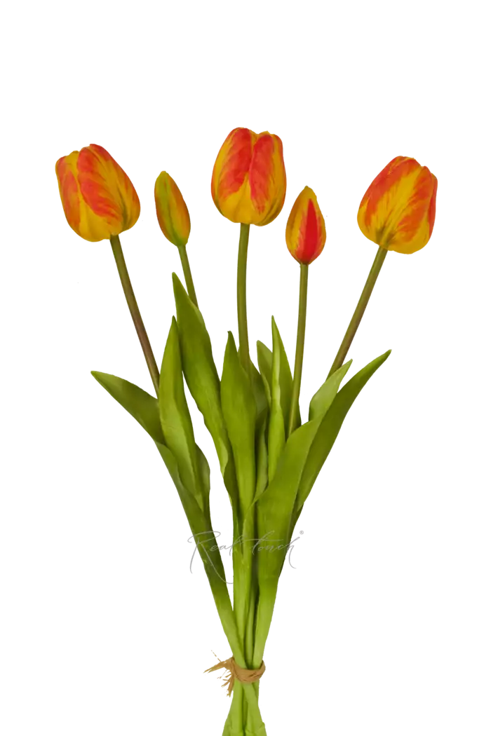 Букет поздних тюльпанов 3+2 - Оранжевый Букет поздних тюльпанов 3+2 - Оранжевый