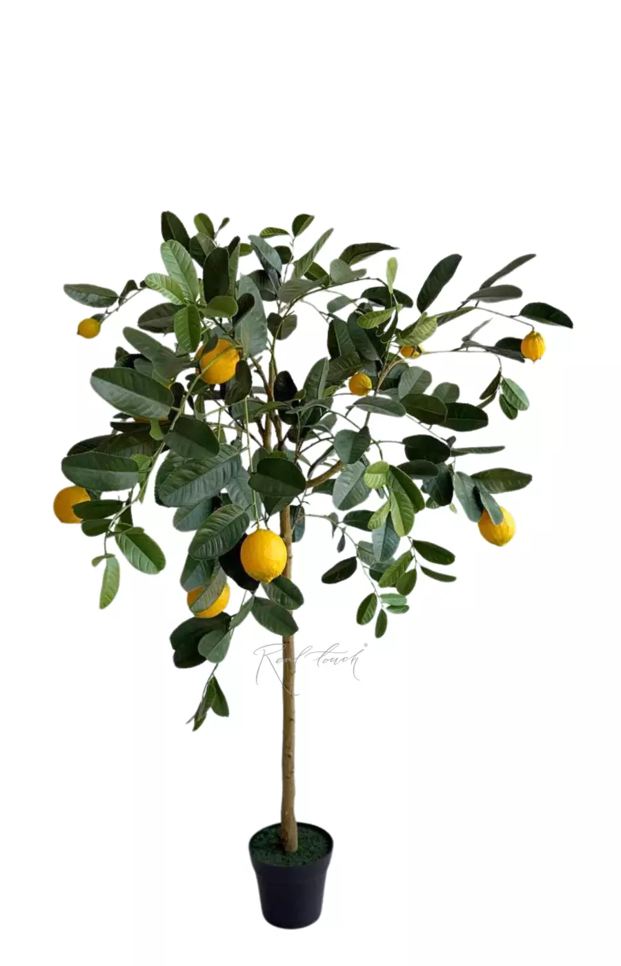 Лимонное дерево 148см с УФ-защитой - Зеленый