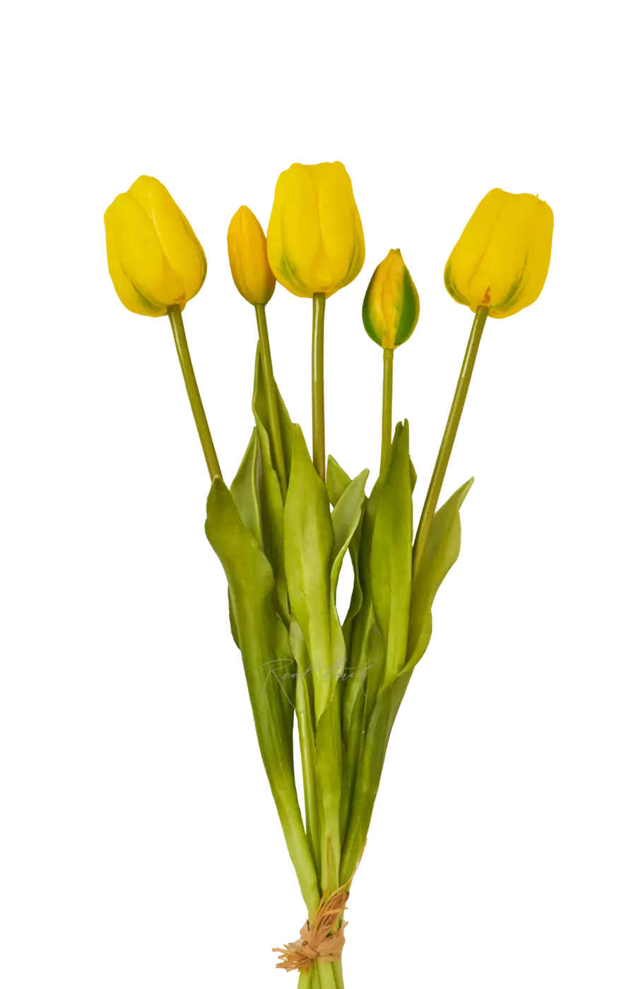 Букет поздних тюльпанов 3+2 - Желтый