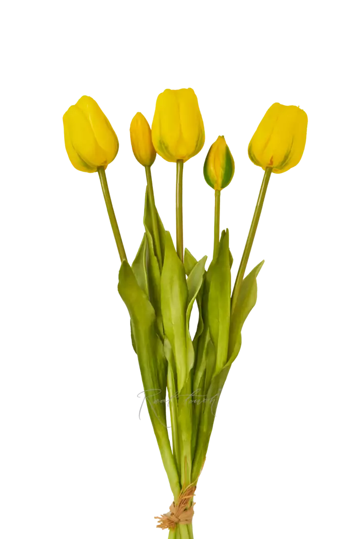 Букет поздних тюльпанов 3+2 - Желтый
