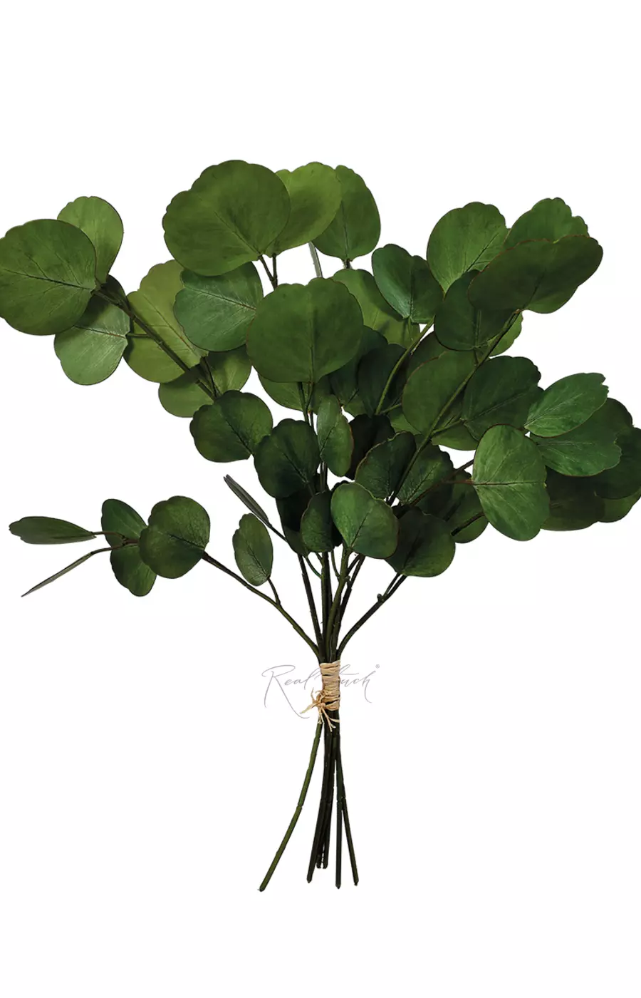 Пучок эвкалипта серебряный $ HQ (8 веточек) - Сине-зеленый Пучок эвкалипта серебряный $ HQ (8 веточек) - Сине-зеленый