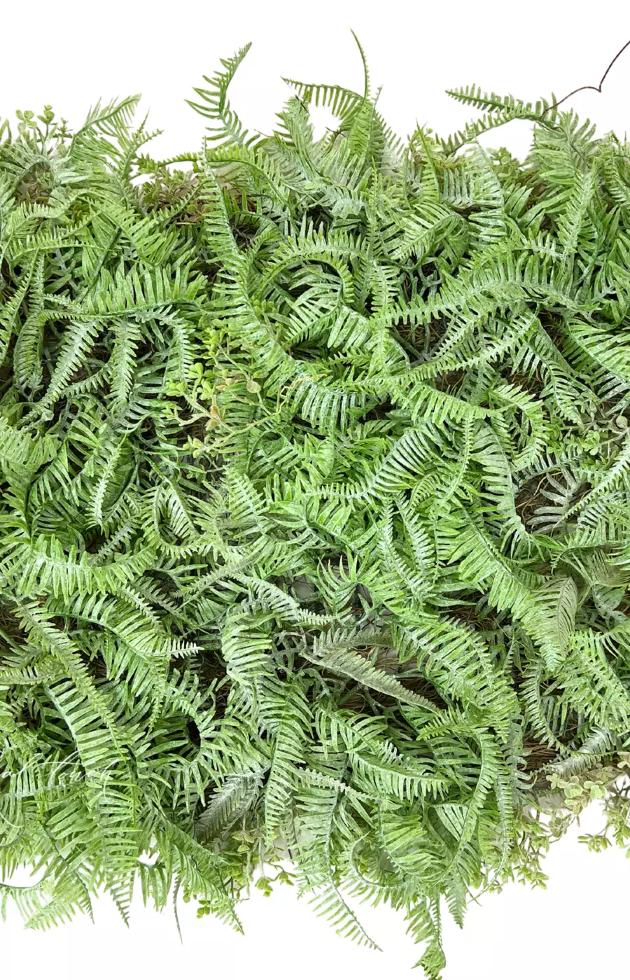 Панно из мелкого папоротника 40*60см - Пыльно-зеленый Панно из мелкого папоротника 40*60см - Пыльно-зеленый