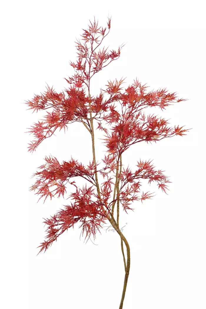 Клен дланевидный ветвь 160 см без кашпо - Красный