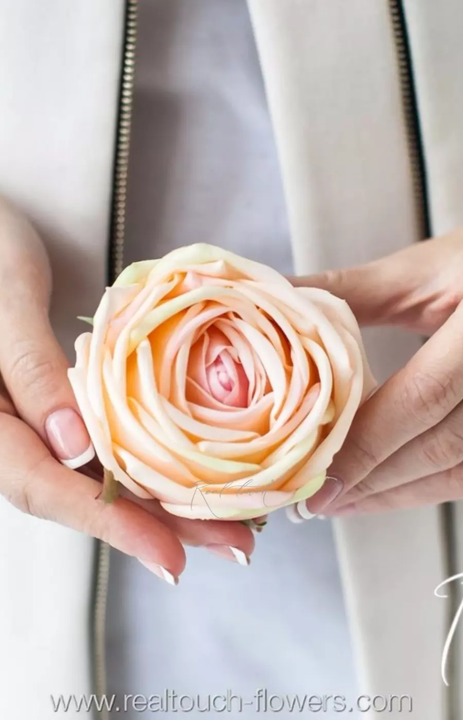 Соцветие розы Пионовидной - Персиково-розовый