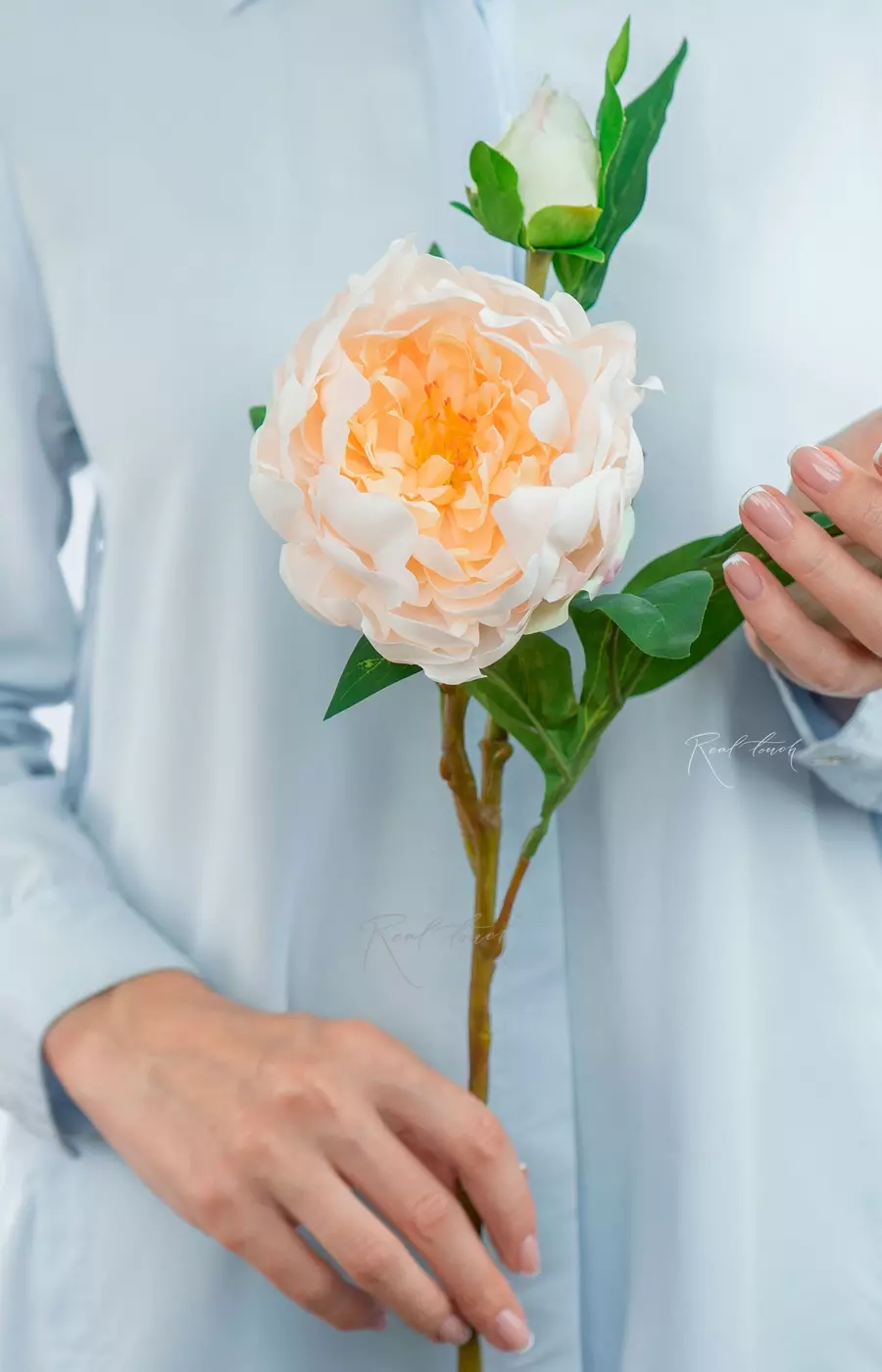 Пион древовидный (1 соцветие) - Светло-персиковый