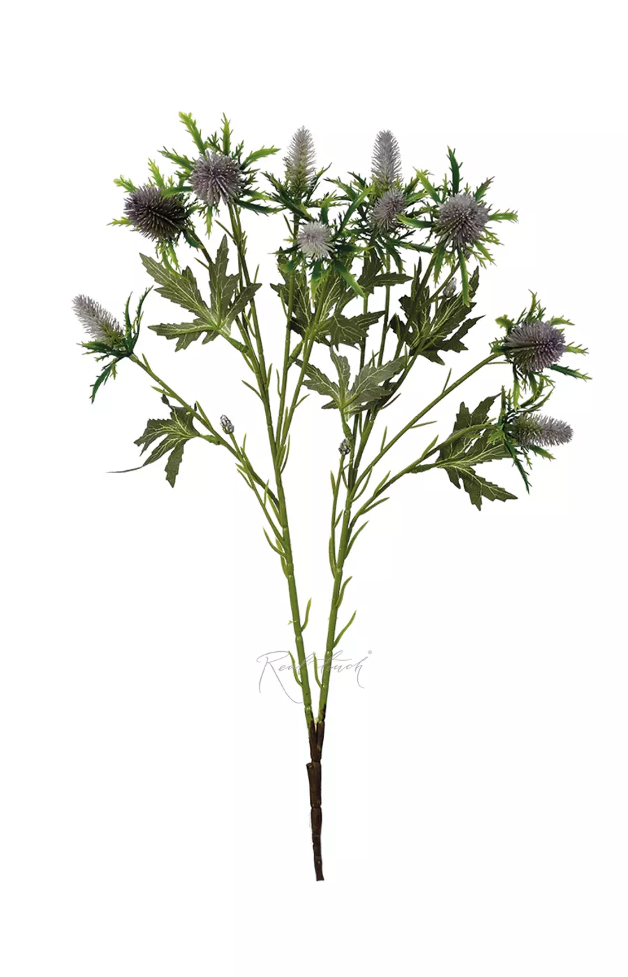 Эрингиум Супер Нова - Светло-фиолетовый