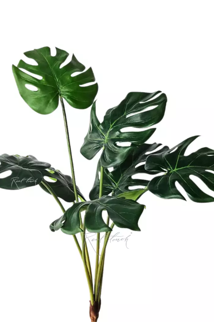 Куст монстеры средний 7 листьев - Зеленый (уценён)