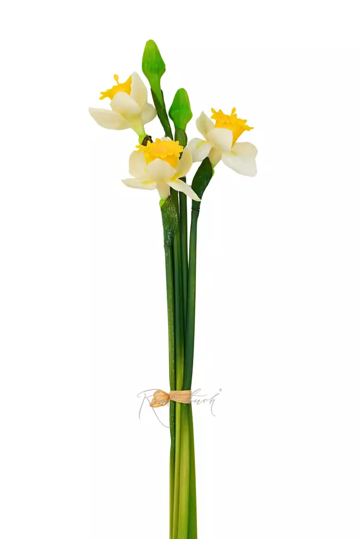 Букет Трубчатых Нарциссов из 5 шт (3 открытых + 2 закрытых) - Белый