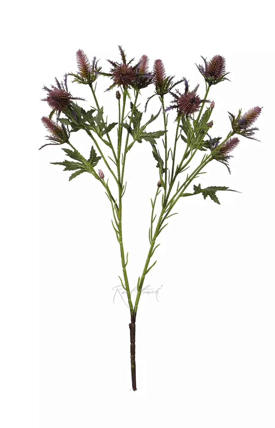 Эрингиум Супер Нова - Дымчато-лиловый