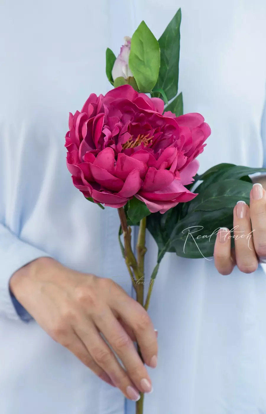 Пион древовидный (1 соцветие) - Малиновый