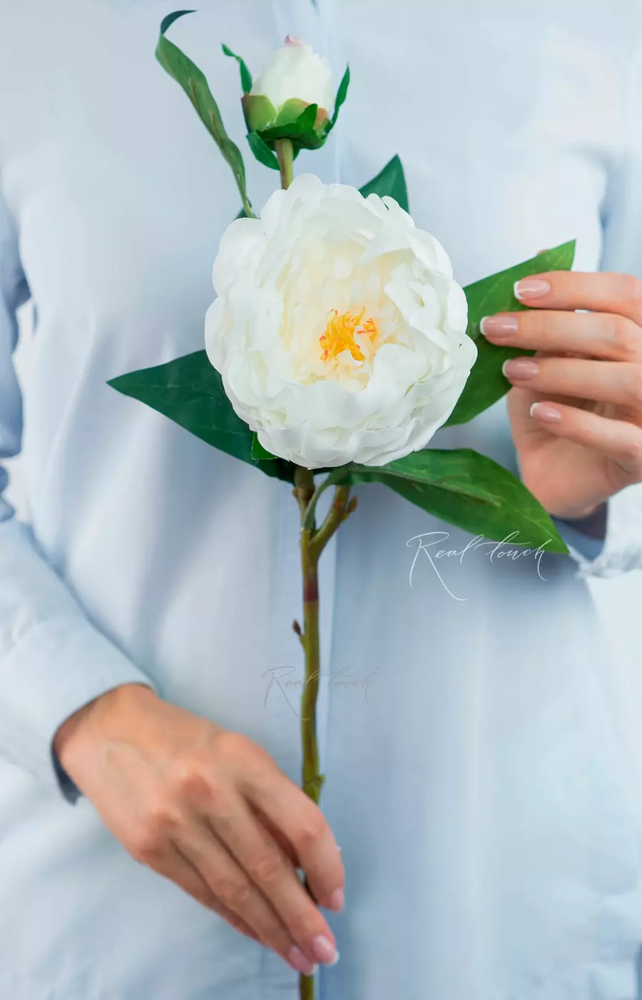 Пион древовидный (1 соцветие) - Белый Пион древовидный (1 соцветие) - Белый