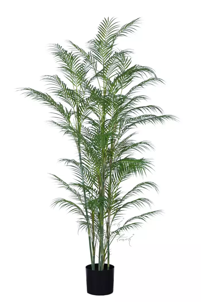 Арека высокая 180см в кашпо - Зеленый