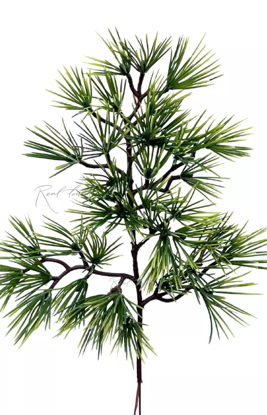 Ветка сосны для Бонсая - Зеленый