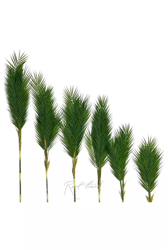 Пальма Арека набор из 6 веток  - Зеленый