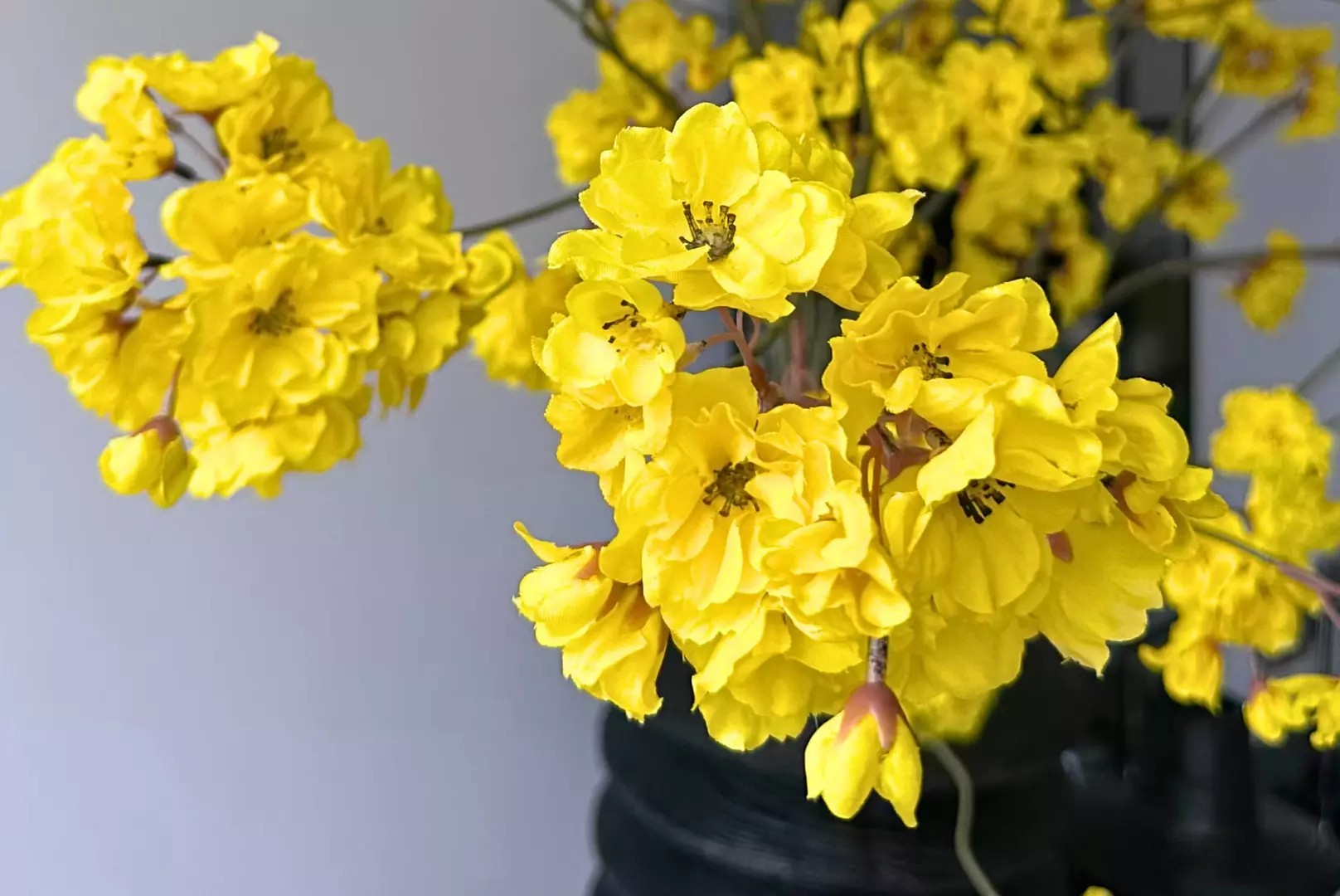 Весенняя коллекция