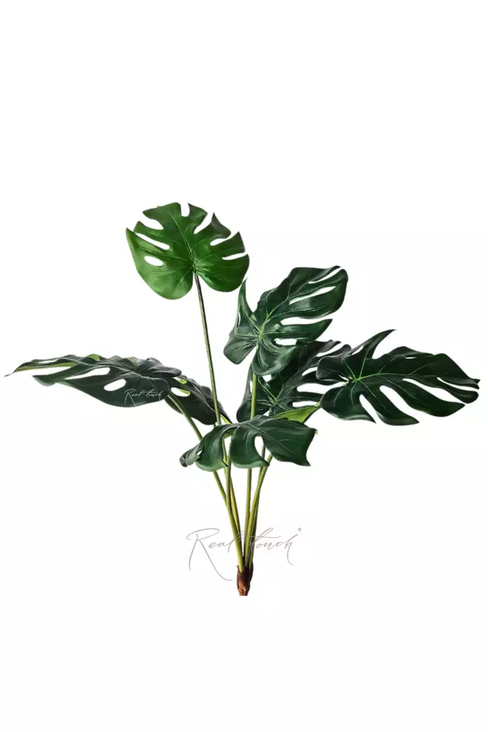 Куст монстеры средний 7 листьев - Зеленый (уценён)