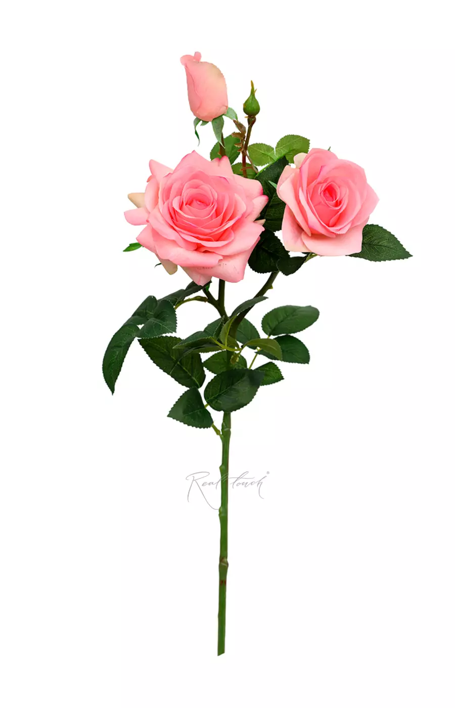 Роза Гранд 3+1 - Розовый