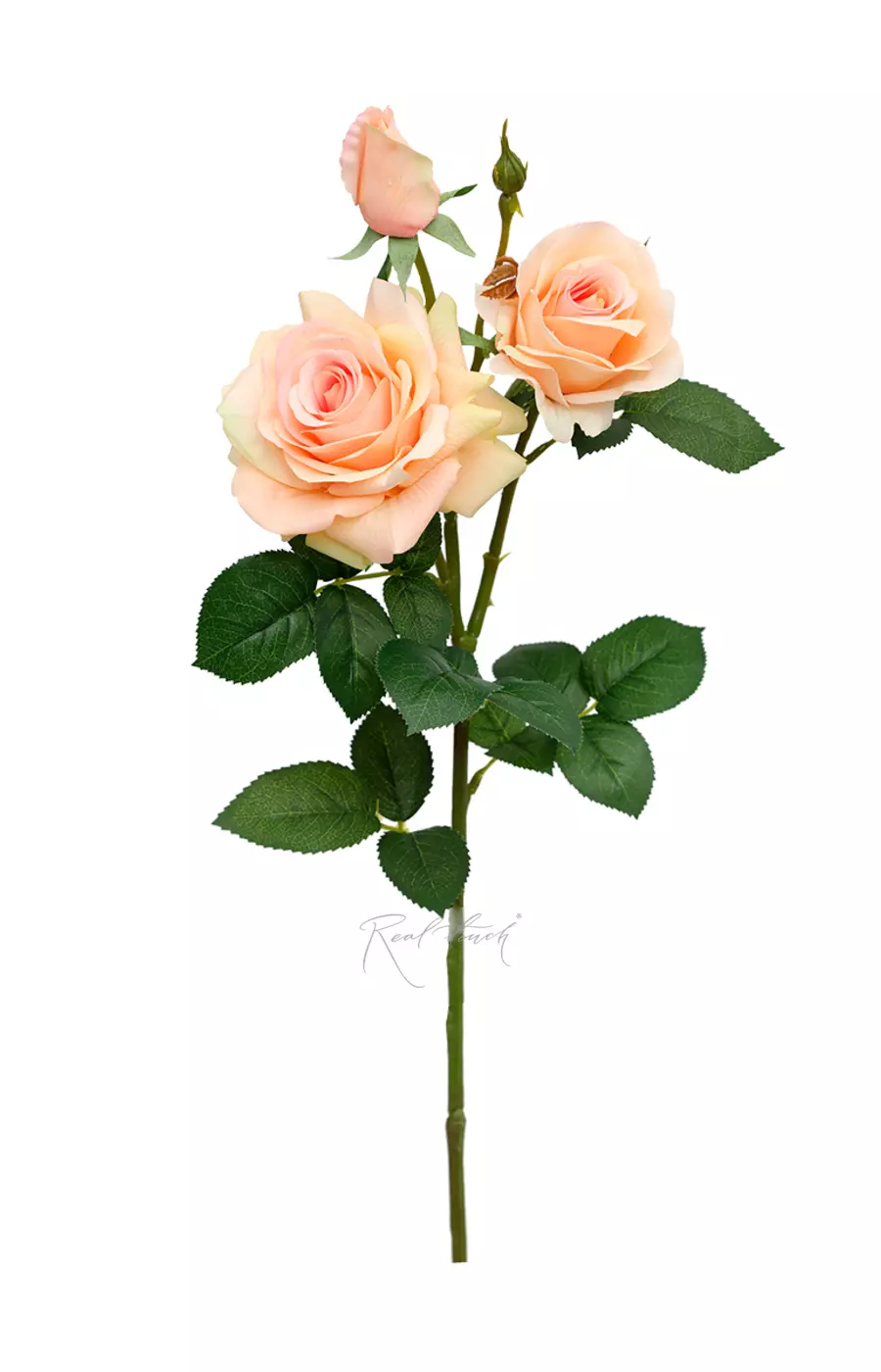 Роза Гранд 3+1 - Персиково-розовый Роза Гранд 3+1 - Персиково-розовый