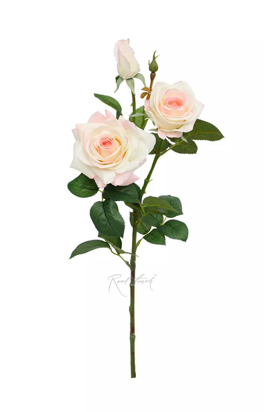 Роза Гранд 3+1 - Молочно-розовый Роза Гранд 3+1 - Молочно-розовый