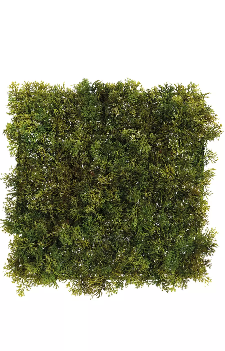 Мох Ягель панель 24,5*24,5см - Зеленый