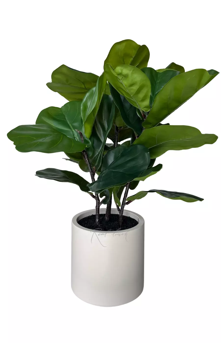 Фикус Лирата в декоративном кашпо 80 см - Зеленый