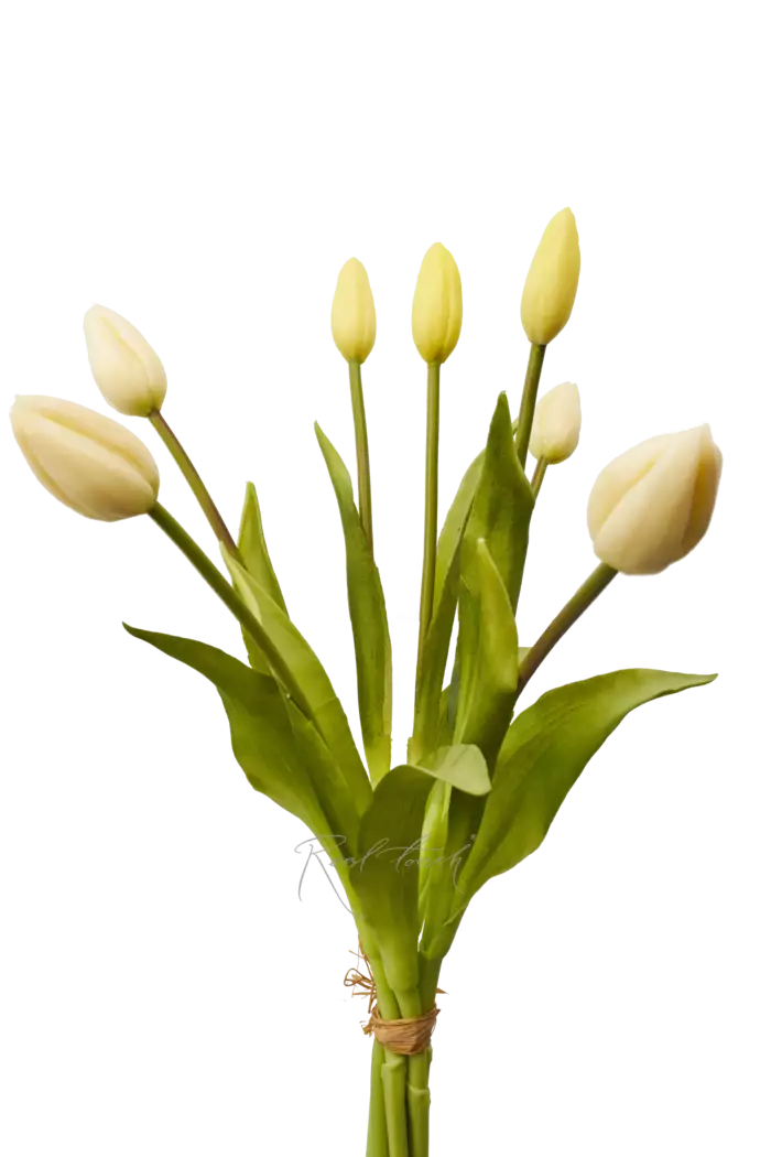 Букет закрытых тюльпанов 4+3 - Белый