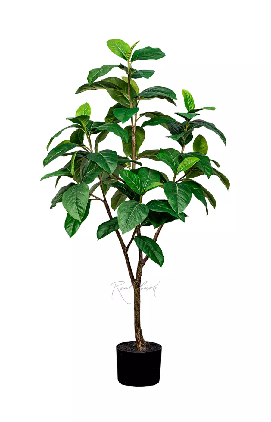 Фикус 120см - Зеленый