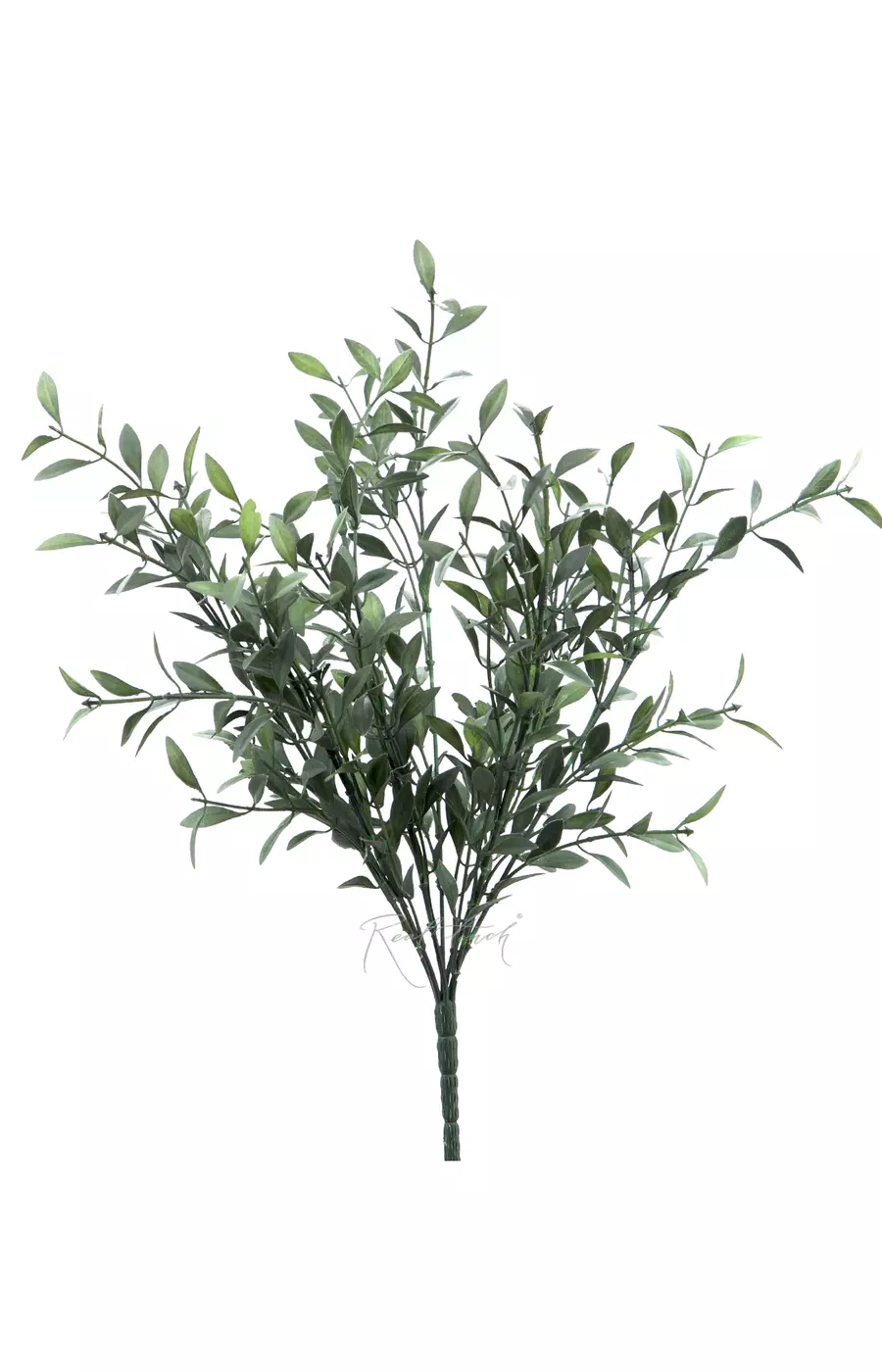 Пучок барбариса - Темно-зеленый