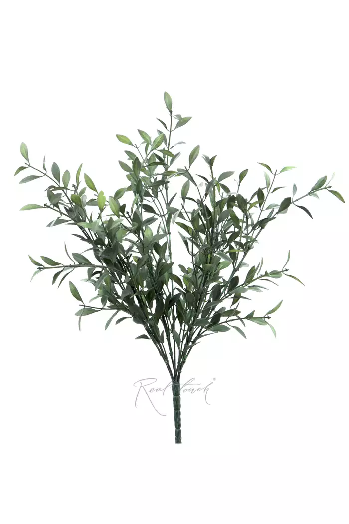 Пучок барбариса - Темно-зеленый