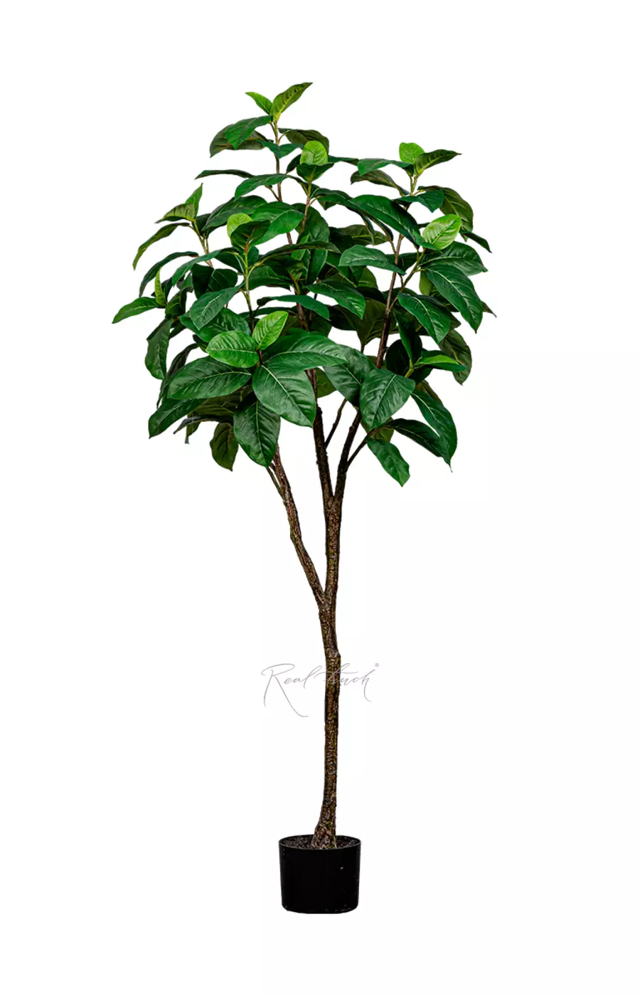 Фикус 150см - Зеленый