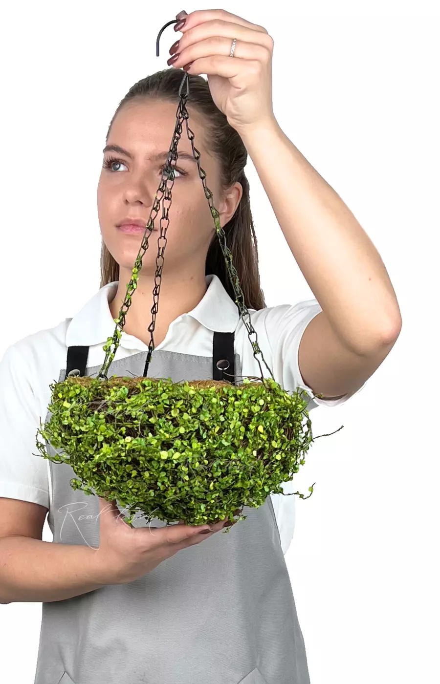 Подвесное кашпо Полусфера (мюленбекия) D20 - Зеленый