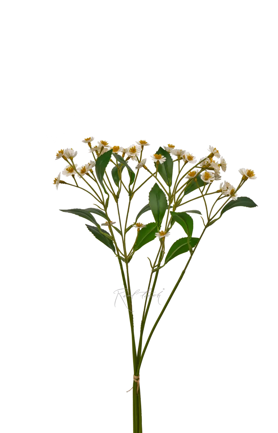 Букет ромашек (пучок из 6 шт) - Белый