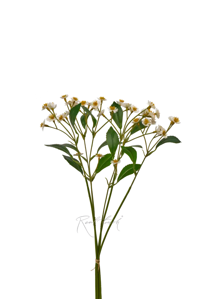 Букет ромашек (пучок из 6 шт) - Белый Букет ромашек (пучок из 6 шт) - Белый