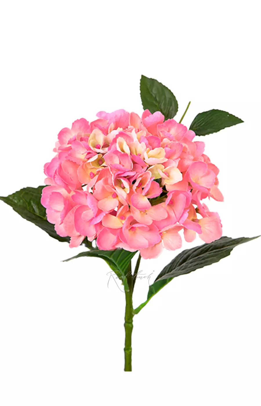 Гортензия крупнолистная small на стебле - Темно-розовый