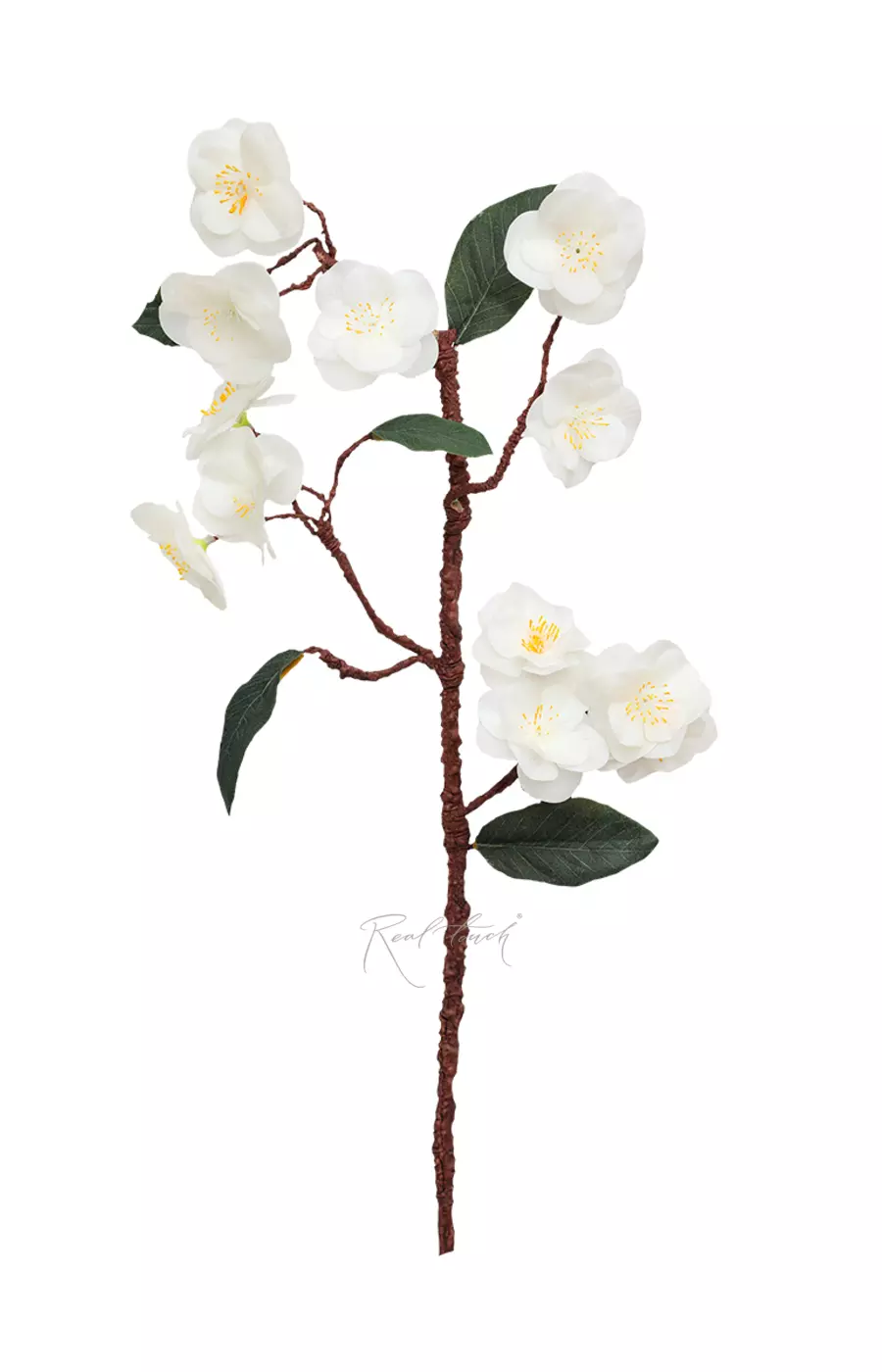 Ветка Сакуры - Белый