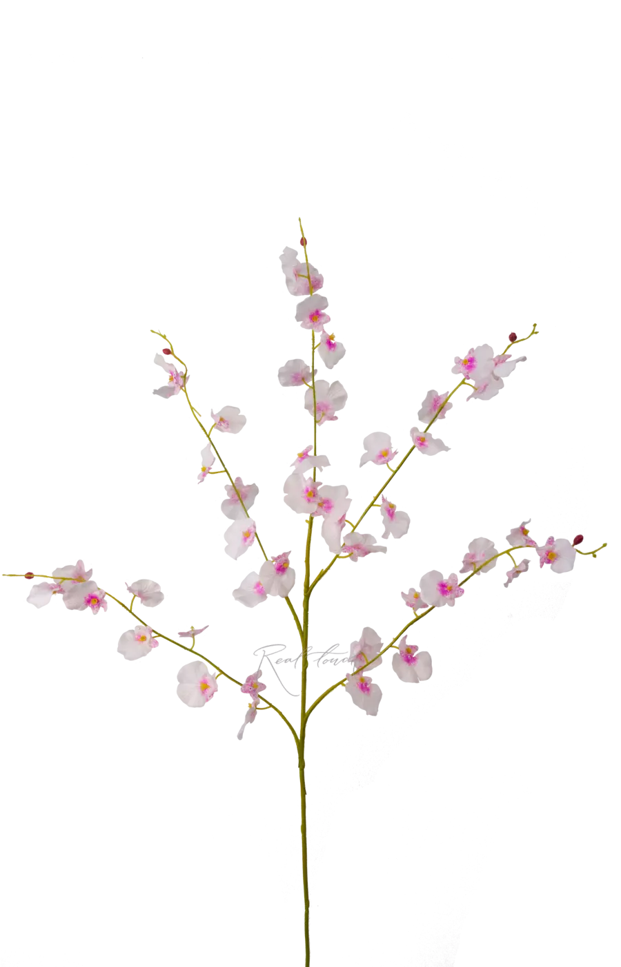 Танцующая орхидея 5 веточек - Белый