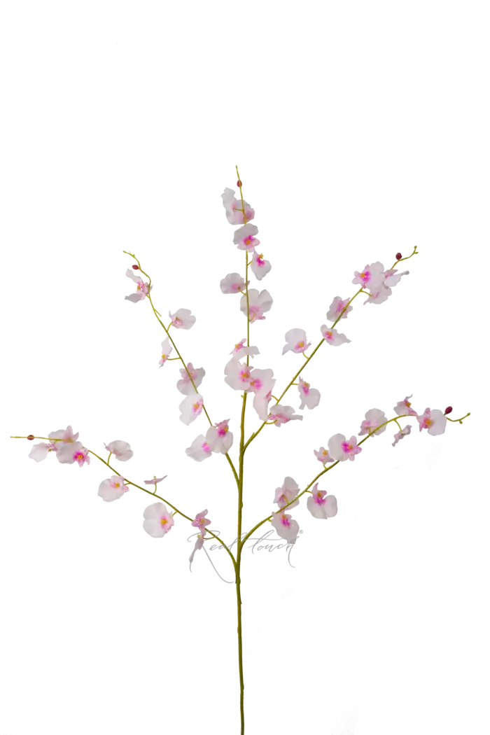 Танцующая орхидея 5 веточек - Белый Танцующая орхидея 5 веточек - Белый