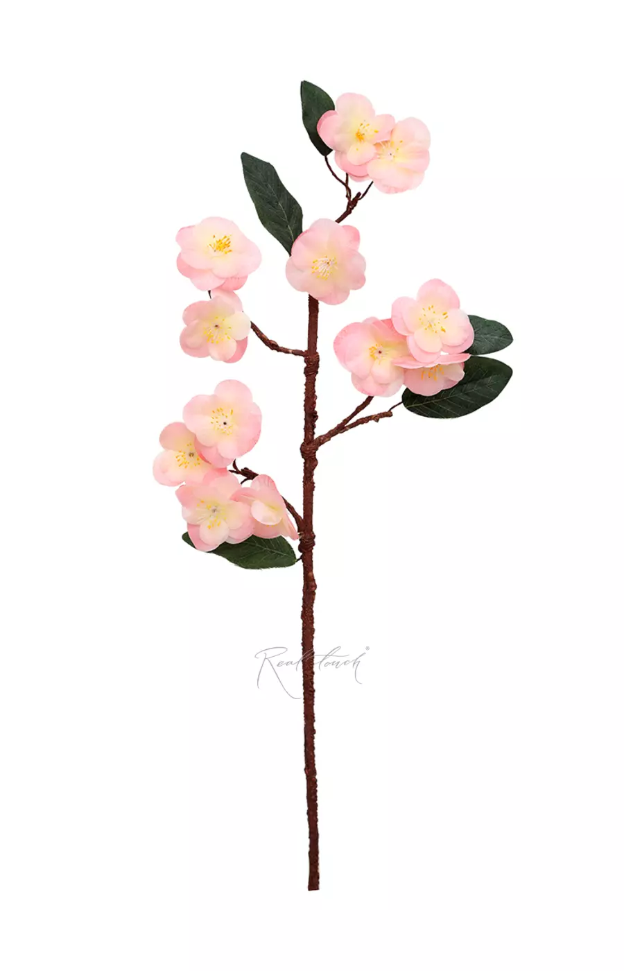 Ветка Сакуры - Ярко-розовый Ветка Сакуры - Ярко-розовый