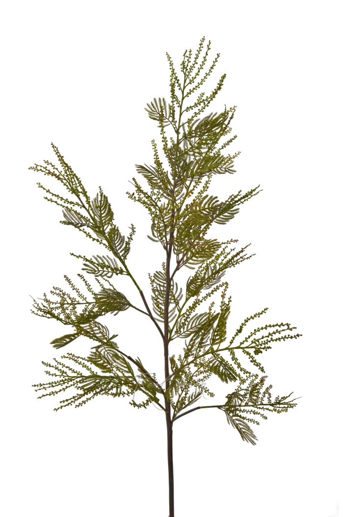 Мимоза 154 см - Зеленый