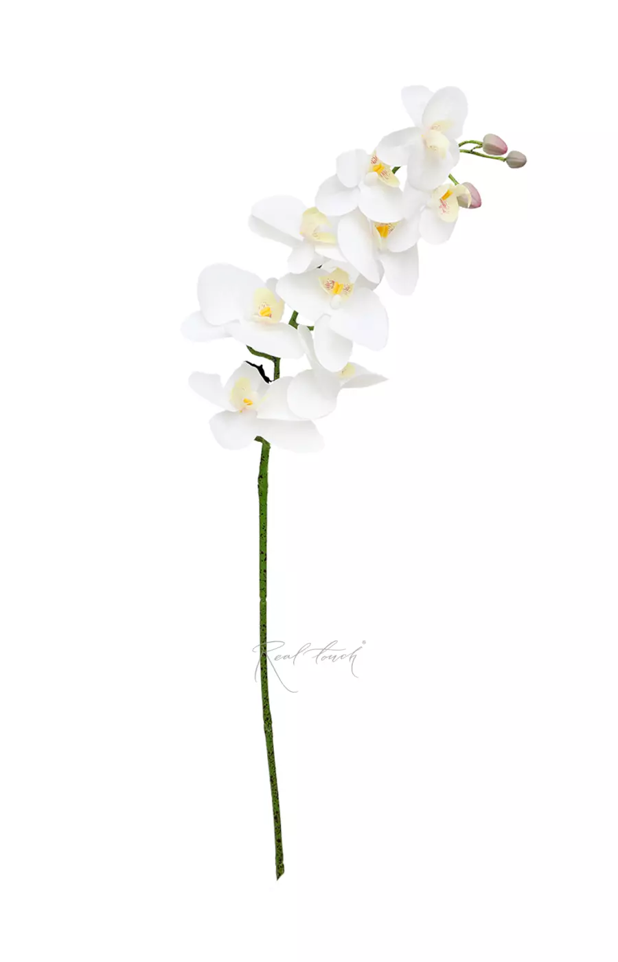 Орхидея 9 соцветий HQ - Белый