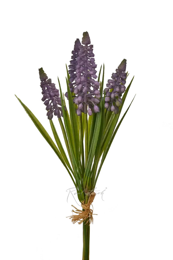 Мускари пучок - Фиолетовый