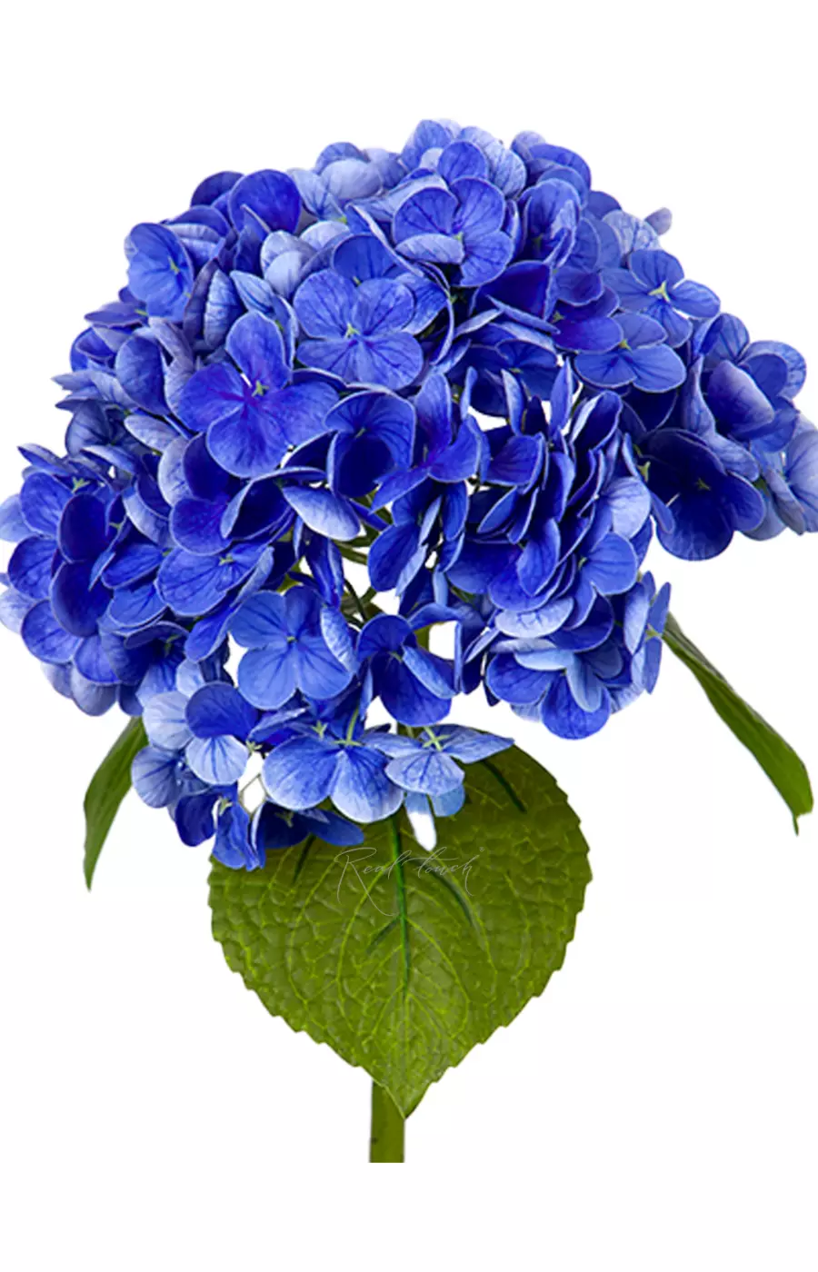 Гортензия садовая на стебле - Синий