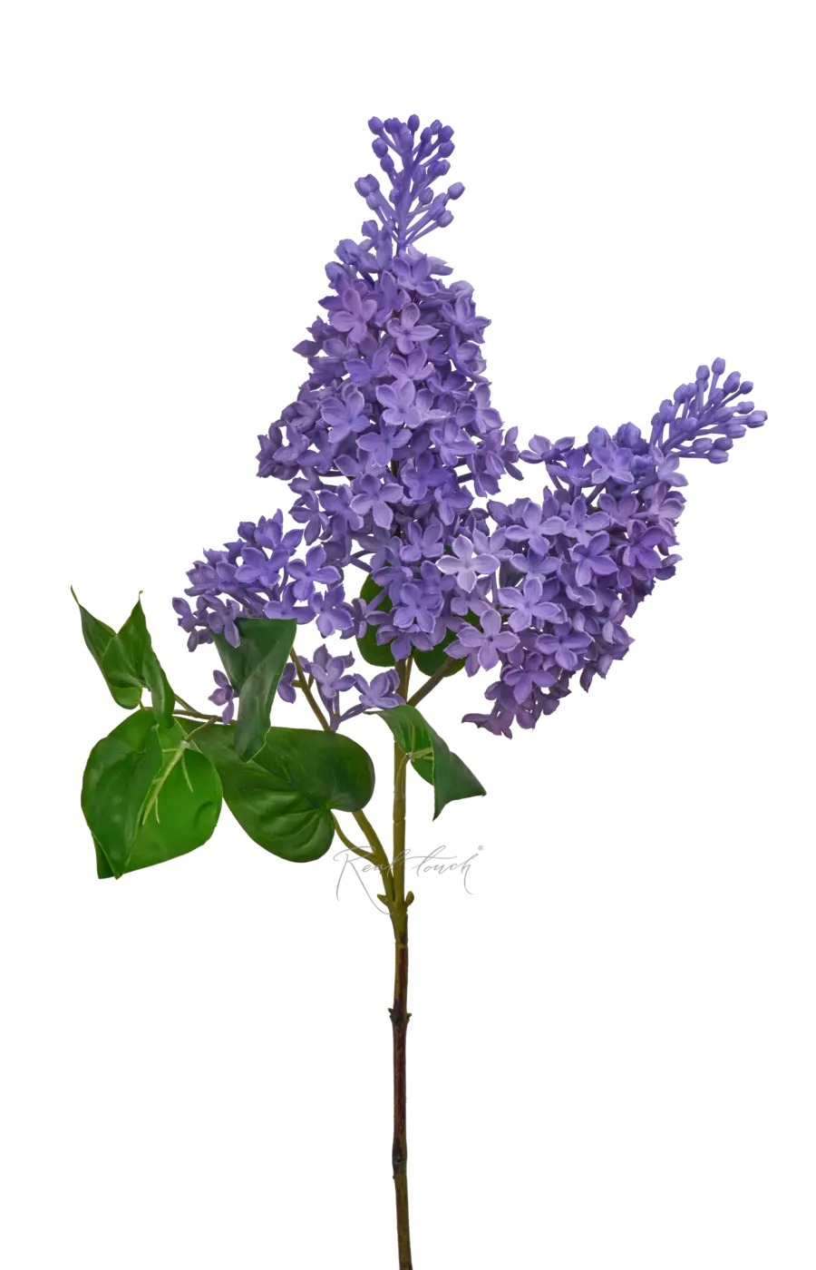 Сирень (3 ветки) - Фиолетовый Сирень (3 ветки) - Фиолетовый