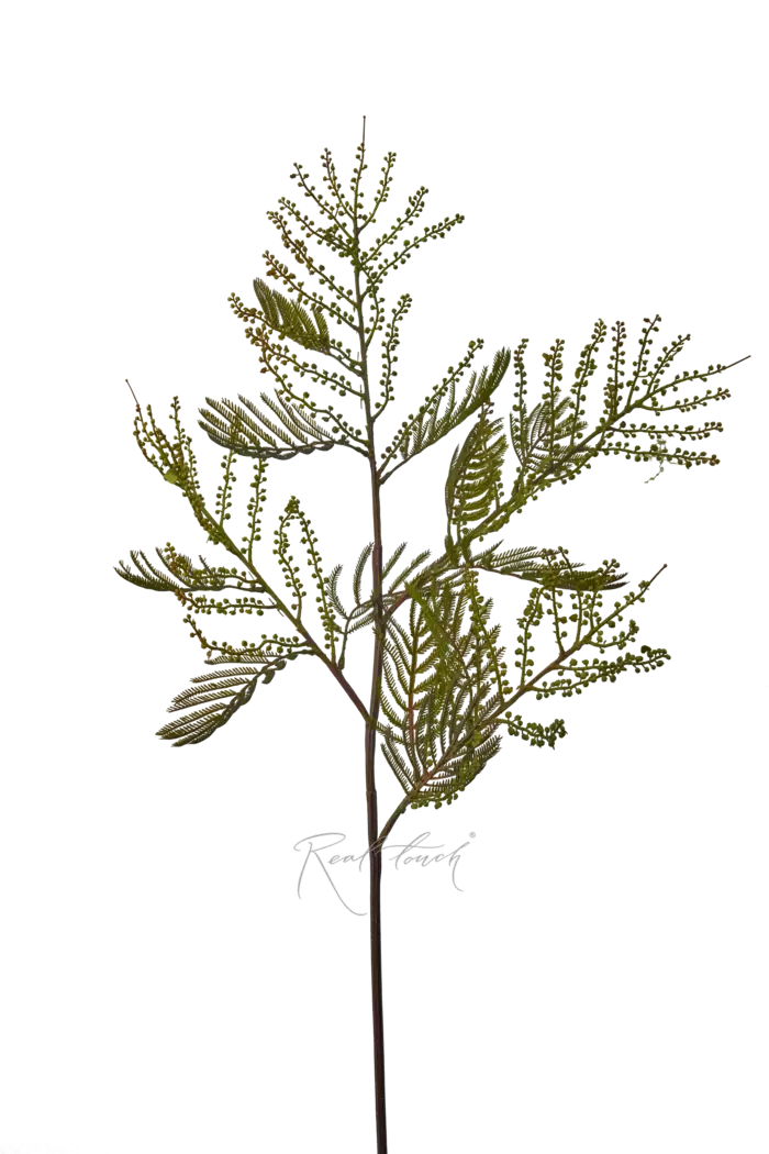 Мимоза 87 см - Зеленый