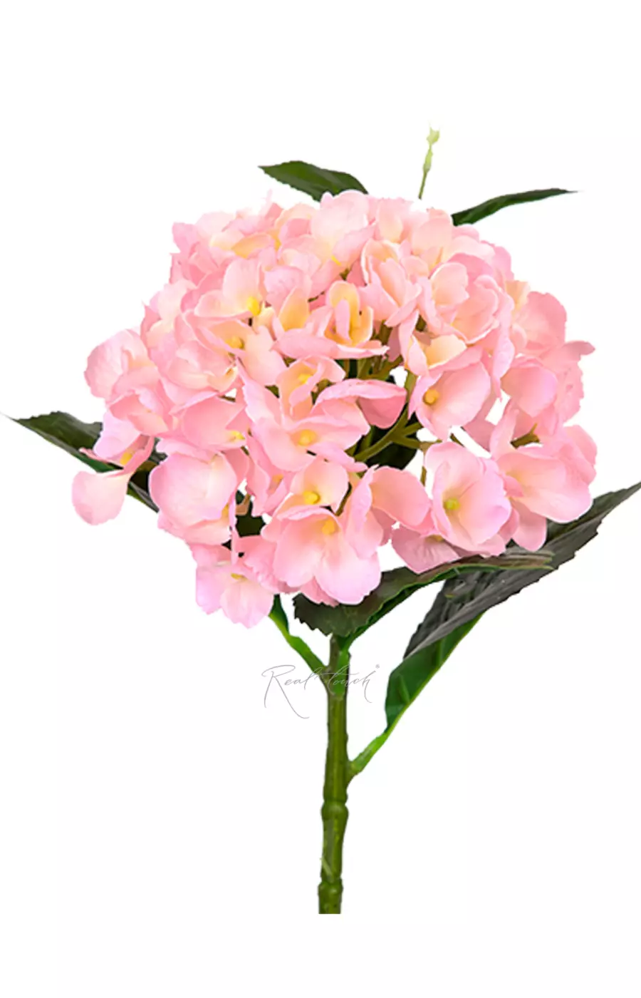 Гортензия крупнолистная small на стебле - Светло-розовый