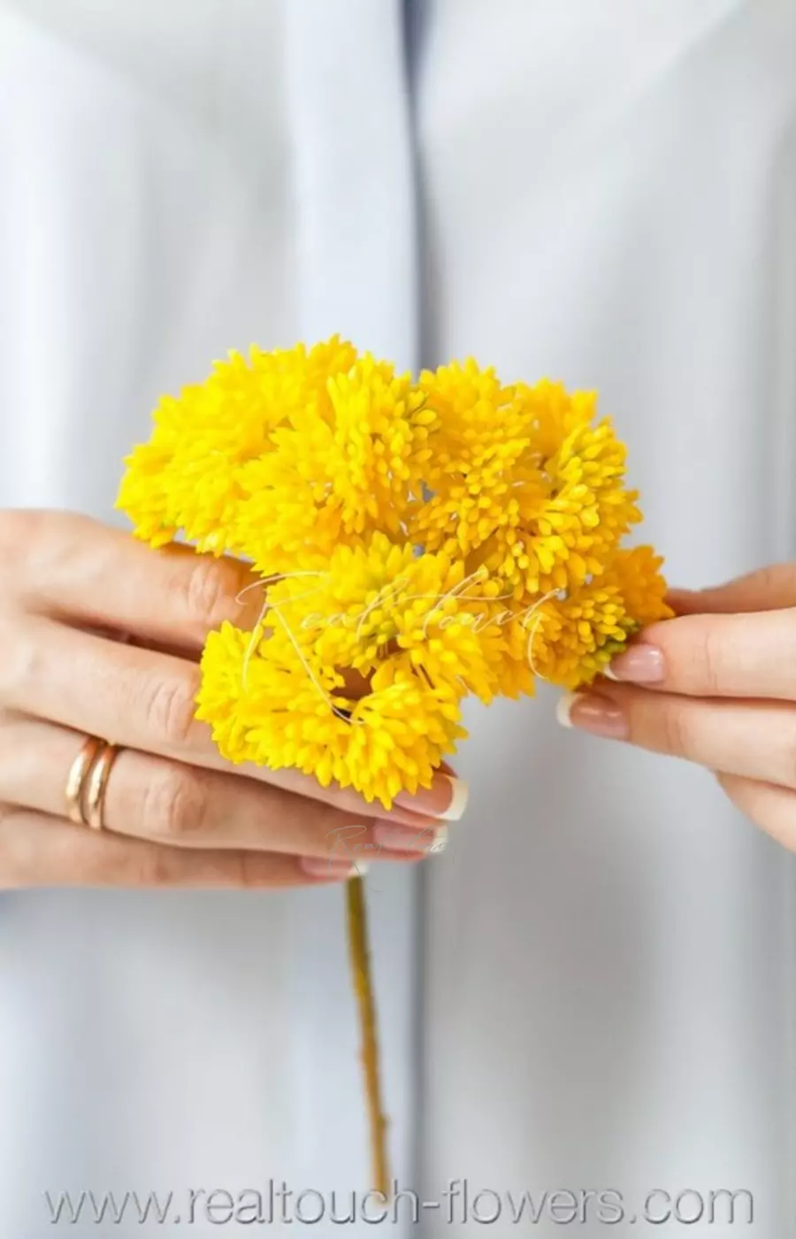 Седум малый - Желтый Седум малый - Желтый