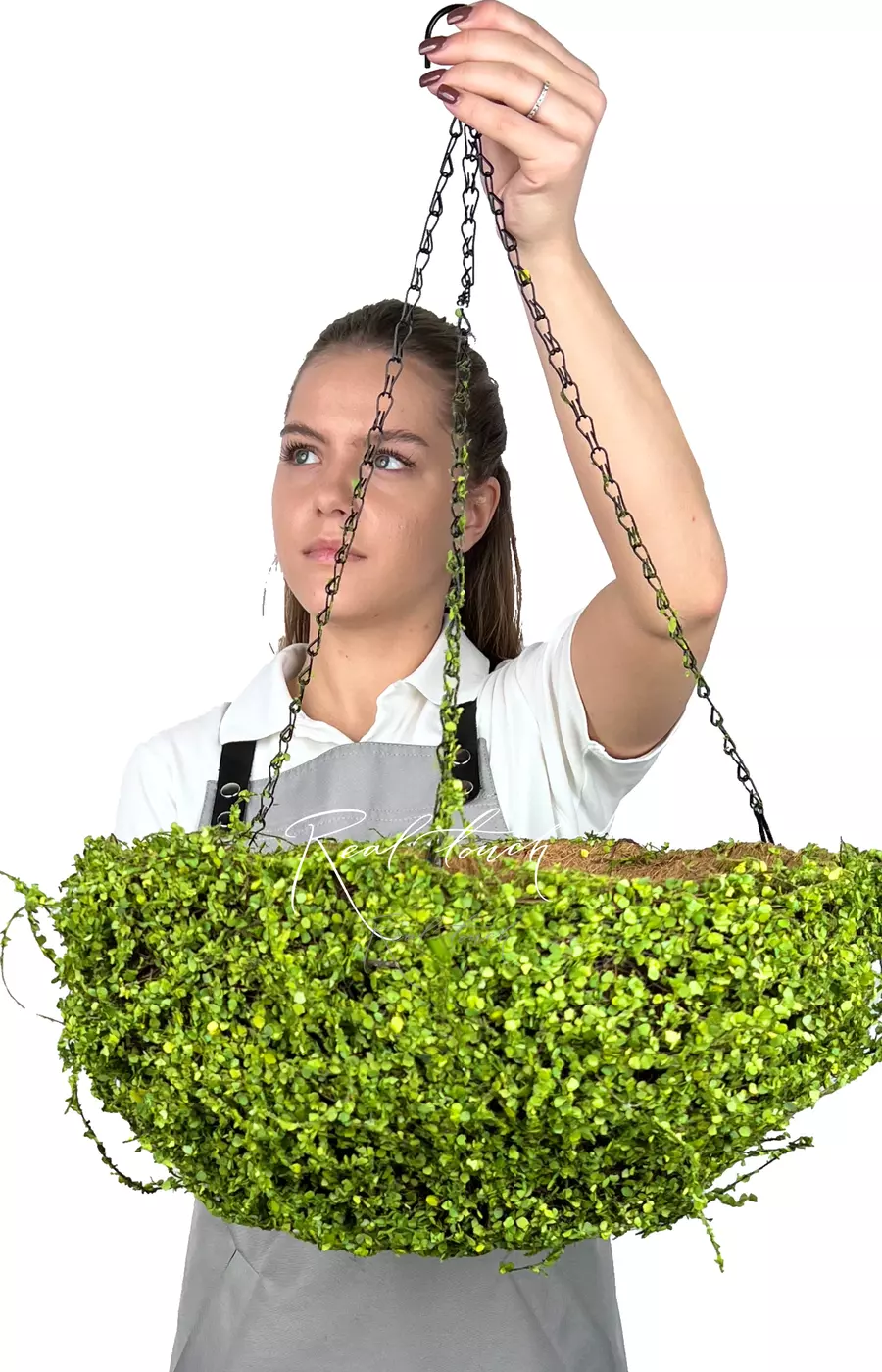 Подвесное кашпо Полусфера (мюленбекия) D40 - Зеленый