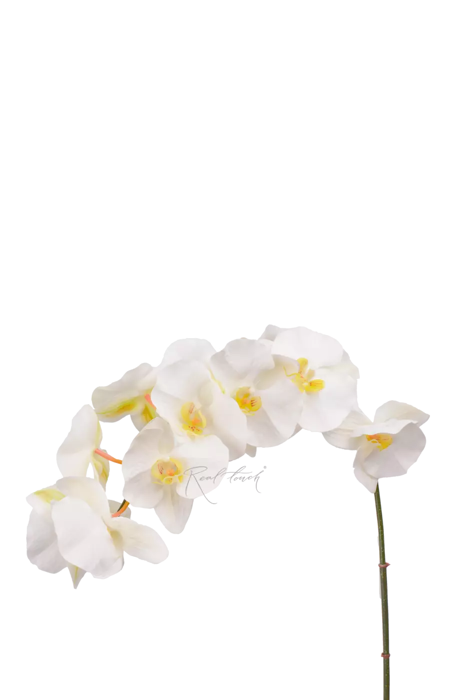 Орхидея 12 соцветий - Белый Орхидея 12 соцветий - Белый