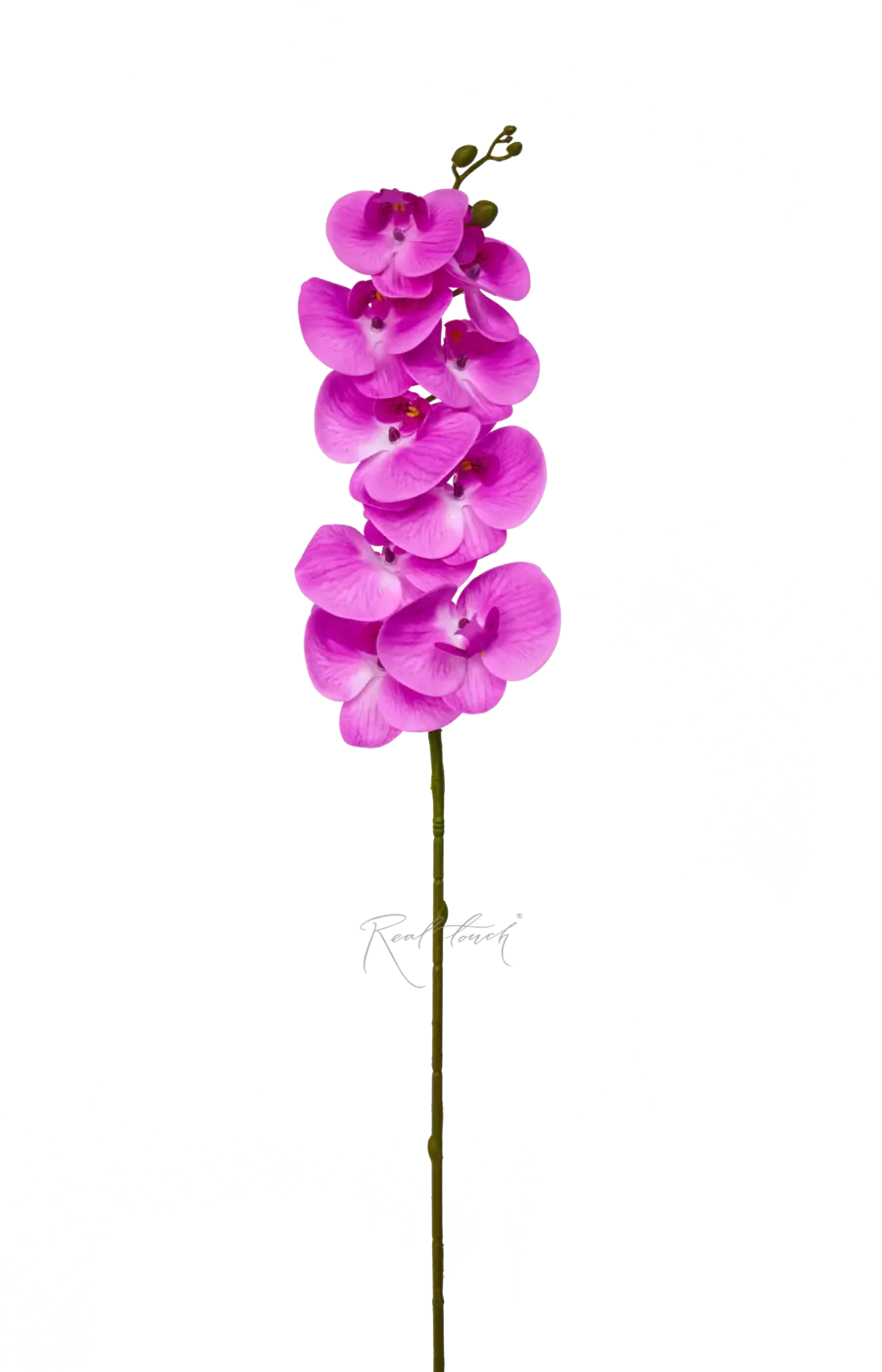 Орхидея 9 соцветий - Фуксия